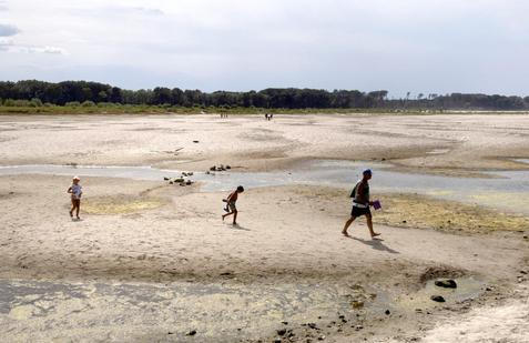 Low water levels on the Danube River in Apatin