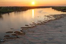 Low water levels on the Danube River in Apatin