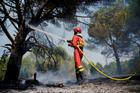 Wildfires in Madrid