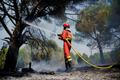 Wildfires in Madrid