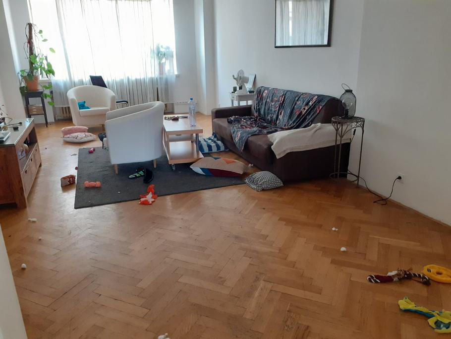 Majitelka tvrdí, že uklízečka našla byt ve velkém nepořádku. Podle ní vypadal, jako by se v něm několik dní pořádala bujará party.
