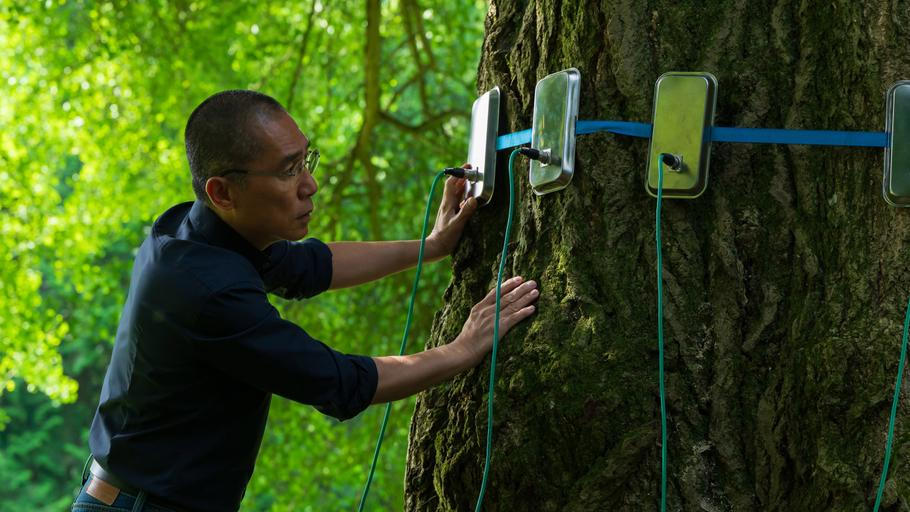 Tony Leung Chiu-wai ve filmu Tichá přítelkyně.