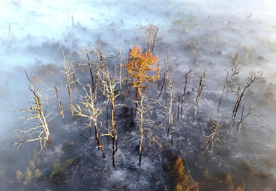 A drone view shows smoke and fog above burnt forest affected by a wildfire near Soumos in France