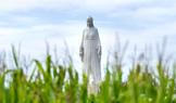 Europe's largest statue of the Virgin Mary ahead of its official opening to the public in the village of Konotopie near Torun
