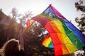 LGBTQ, pride, zena