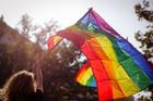 LGBTQ, pride, zena