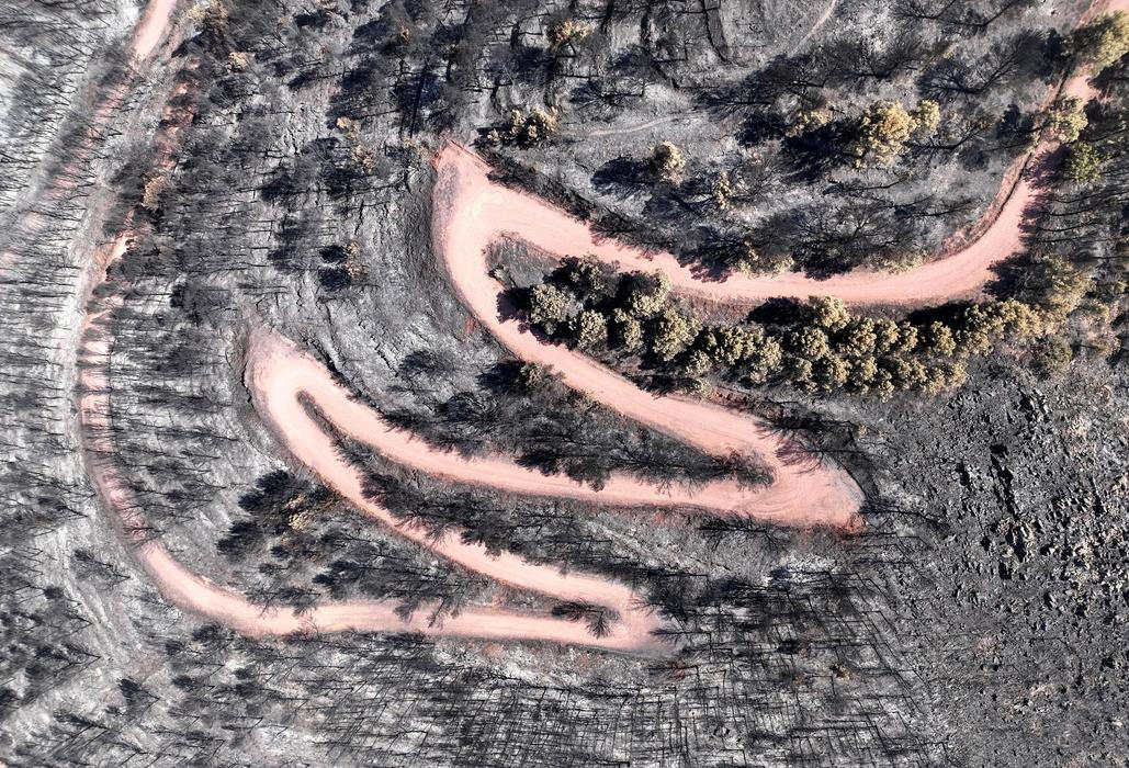 Wildfire in Castellon province