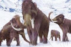 Mamut srstnatý