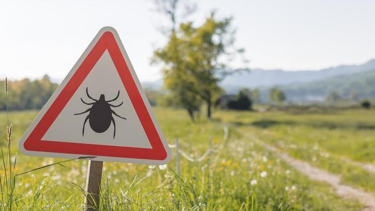 Na klíšťovou encefalitidu neexistuje specifická léčba. Lékaři mohou pouze zmírňovat jednotlivé příznaky a čekat, jak se organismus s infekcí vyrovná.