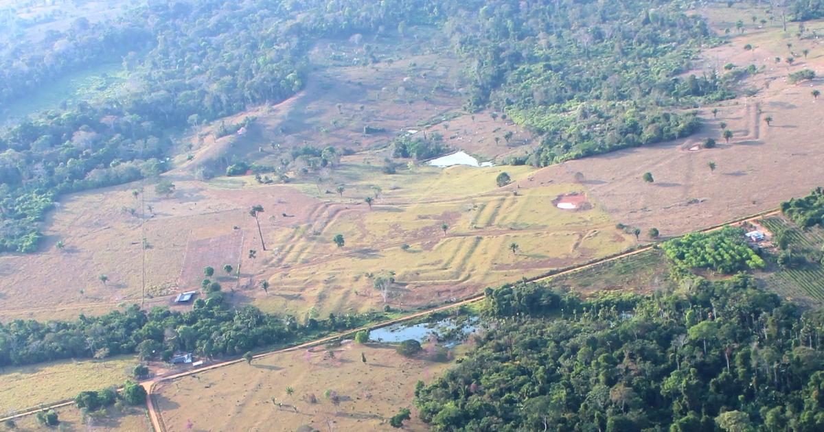 Pod pralesem objevili zapomenutou civilizaci. V Amazonii žily miliony lidí, ukázal výzkum
