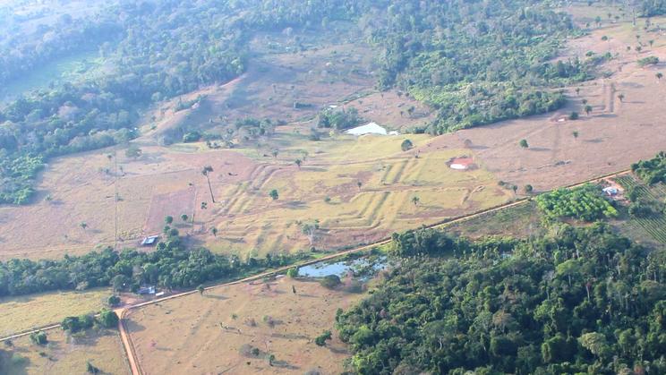 Výzkumníci popsali více než 400 dosud neznámých monumentálních útvarů vyrytých do země, takzvaných geoglyfů.