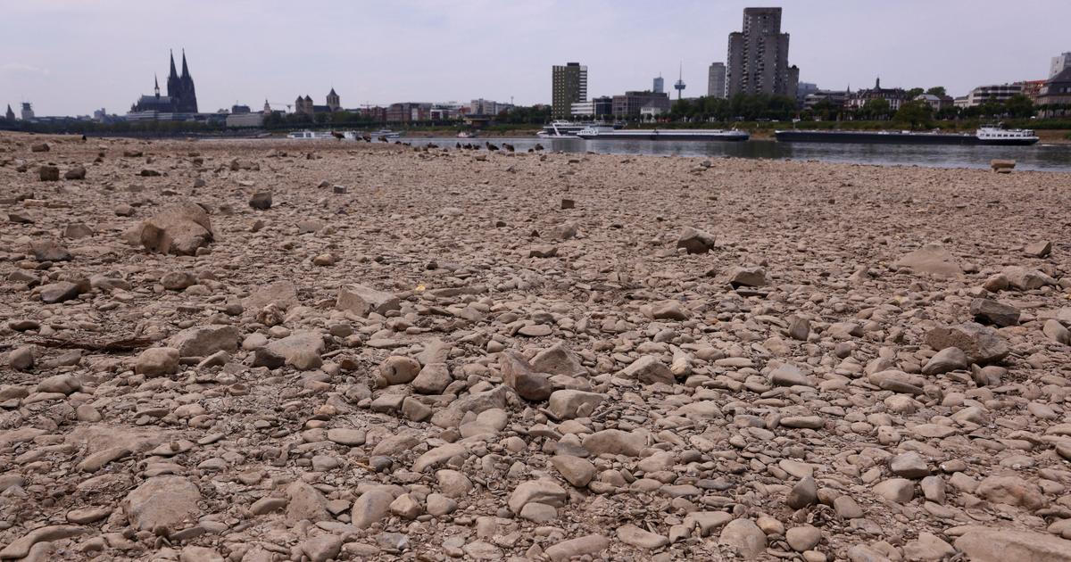 Včera veletoky, dnes potoky. Rýn a Dunaj jsou na absolutním minimu