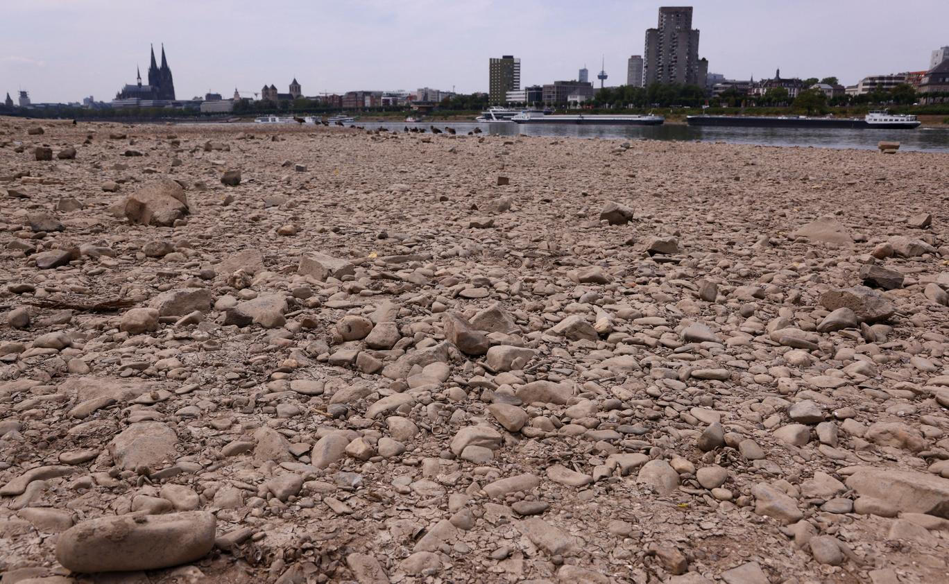 Low water levels on the Rhine River in Cologne