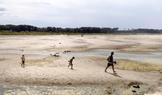 Low water levels on the Danube River in Apatin