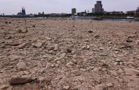 Low water levels on the Rhine River in Cologne
