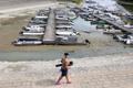 Low water levels on the Danube River in Apatin