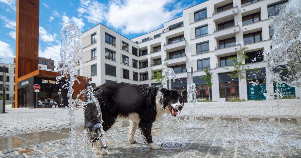 Vedro trhá rekordy. Morava zažila první čtyřicítku, Plzeň hlásí 41,5°C