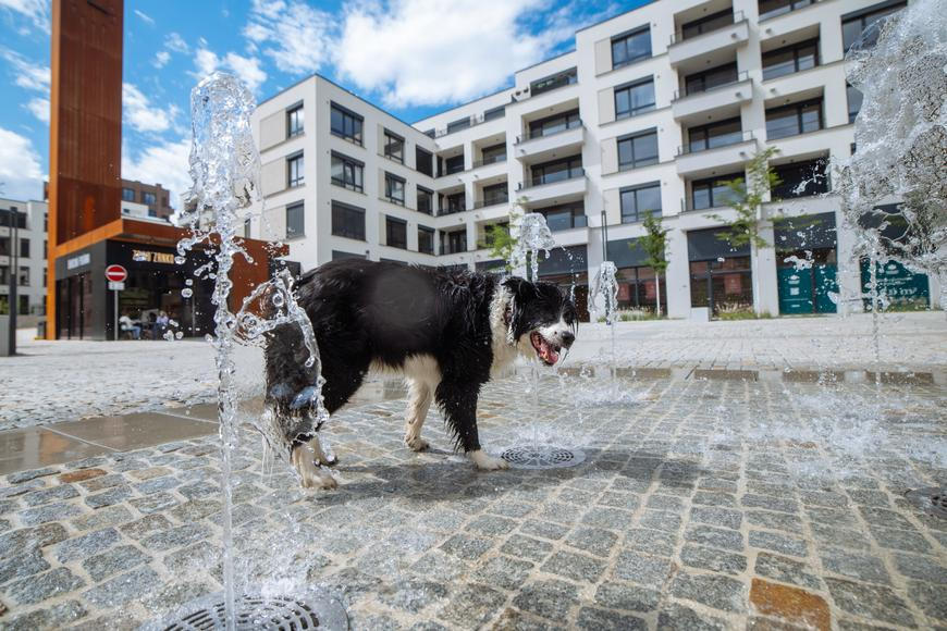 Vedro trhá rekordy. Morava zažila první čtyřicítku, Plzeň hlásí 41,5°C