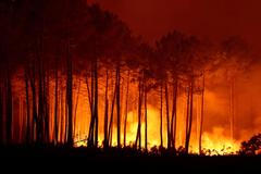 Wildfire at Ares, Gironde