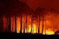 Wildfire at Ares, Gironde
