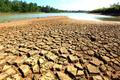 Cracks,Of,Dry,Soil.,Drought,Of,Water,Sources.,The,Impact