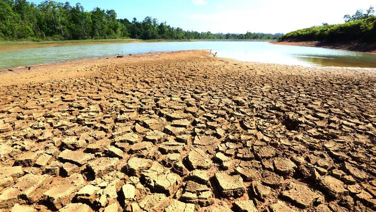 Cracks,Of,Dry,Soil.,Drought,Of,Water,Sources.,The,Impact