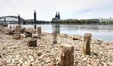 Germany Extreme Weather Drought