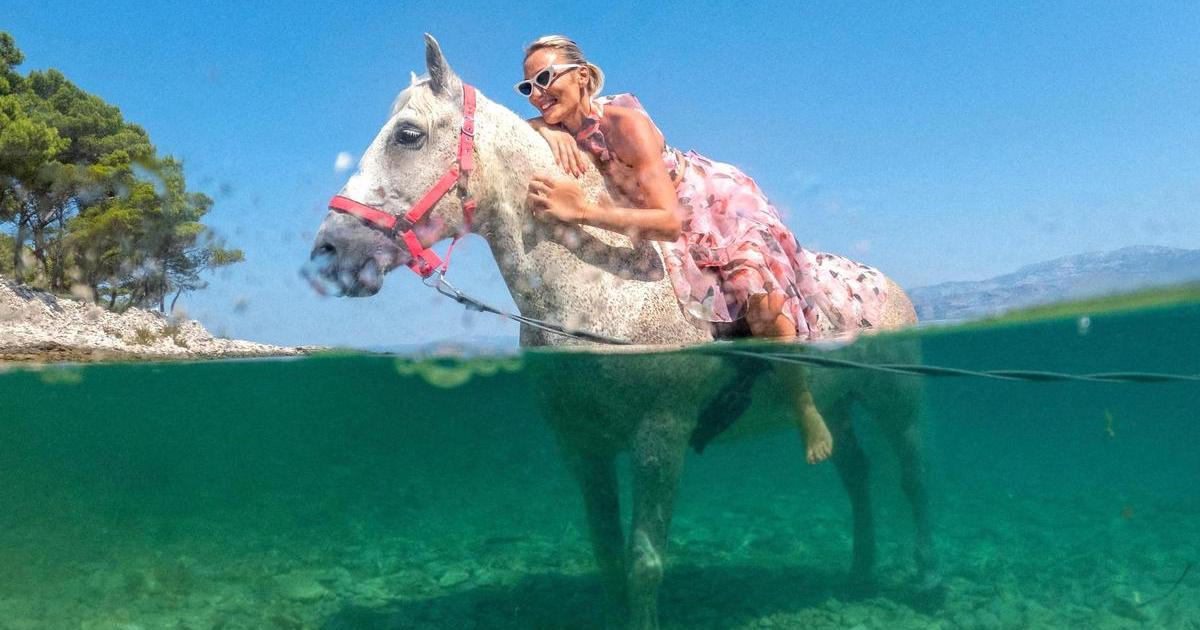 Škoda tyhle fotky minout: Tygr v akci, invaze z Afriky nebo zachráněný anděl