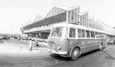 Autobus dostal podle tvaru karoserie přezdívku okurka, a i když někteří kritizovali koncepci, spolehlivost udělala z Jelcze legendu, která vydržela ve výrobě do roku 1986 a přežila i originální RTO.