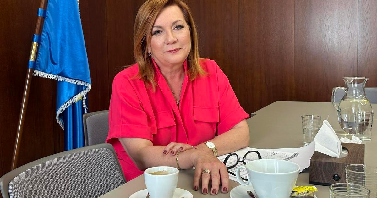 Opožděný plán na levnější bydlení. Schillerová řekla, jak může upravit daně
