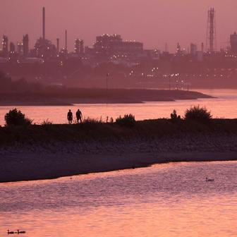 Low water levels on the Rhine River in Leverkusen 