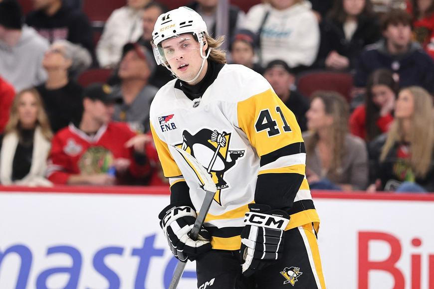 To je vtip? nechápou v NHL. Hráč na hraně týmu dostal celoživotní jmění