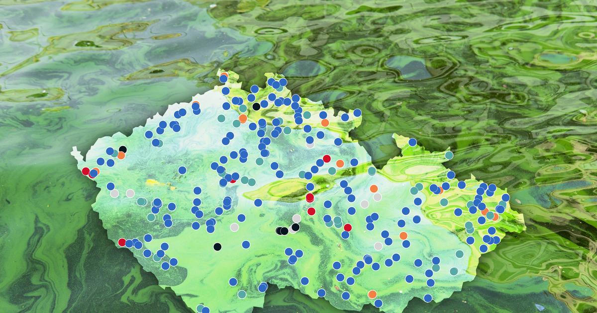 Tady se nekoupejte. Sinice se přemnožily už i v oblíbeném jezeře 