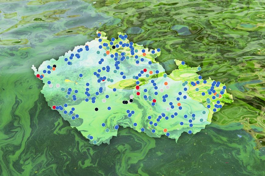 Tady se nekoupejte. Sinice se přemnožily už i v oblíbeném jezeře