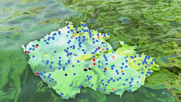 Water,Pollution,By,Blooming,Blue-green,Algae,-,Cyanobacteria,Is,World