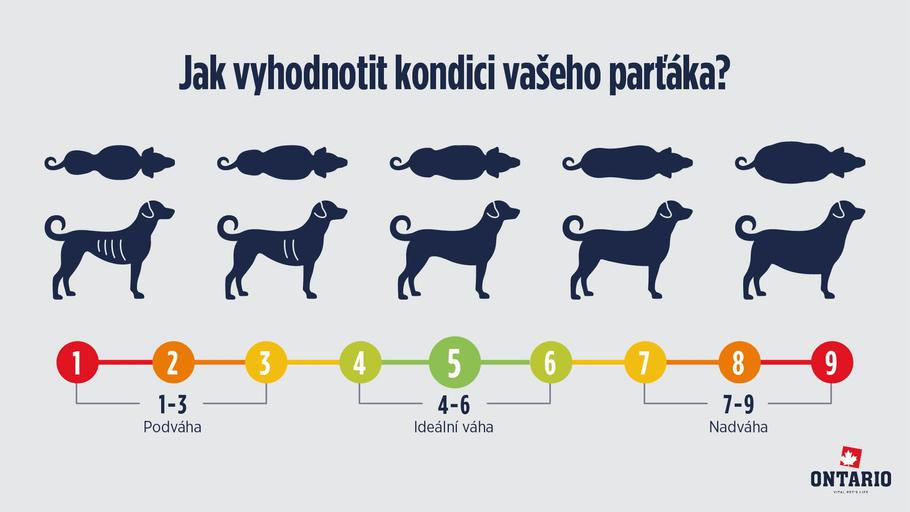 Ilustrační foto