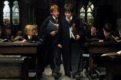 Harry Potter a Kámen mudrců