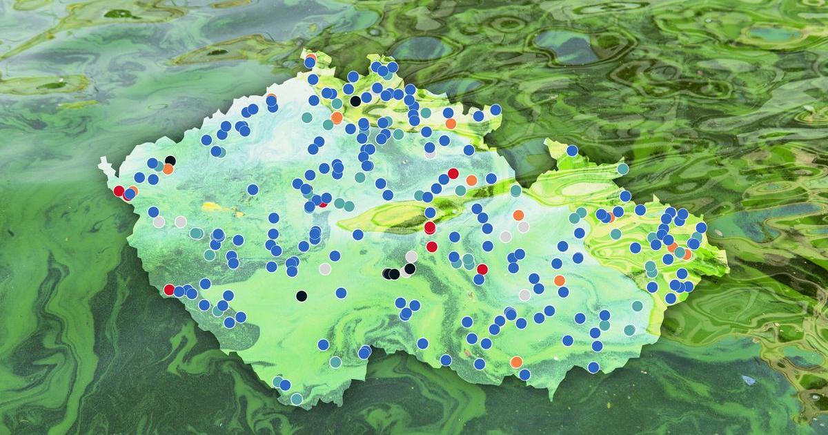 Tady se nekoupejte. Sinice se přemnožily už i v oblíbeném jezeře