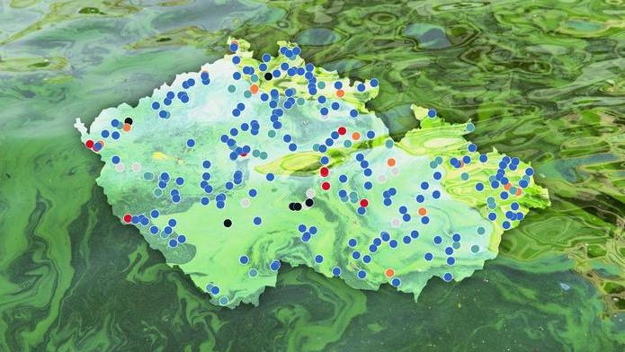 Water,Pollution,By,Blooming,Blue-green,Algae,-,Cyanobacteria,Is,World