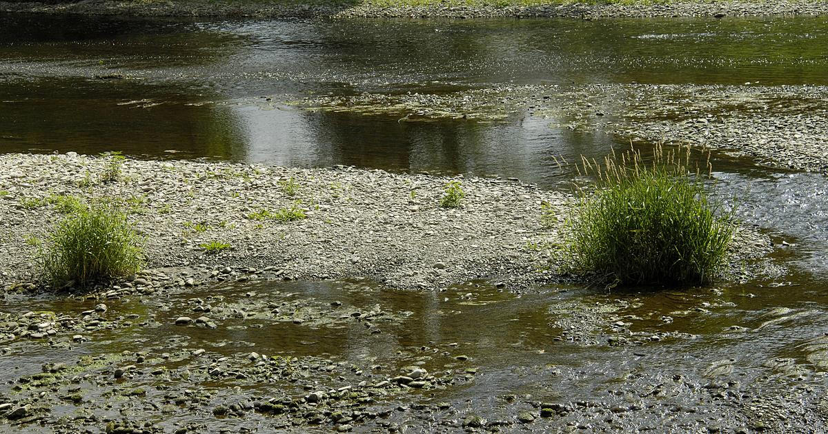 Povodí Moravy hlásí sucho na polovině měřicích míst, některá jsou na nule