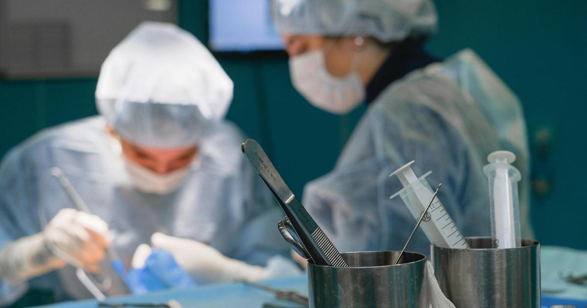 Mediků přibývá, kriticky ohrožené obory zůstávají. Někde vypomohou cizinci