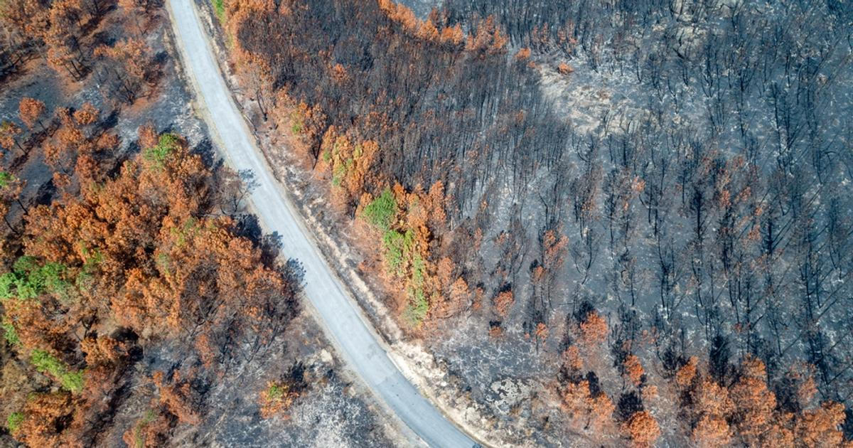 Rekord v Doksanech byl jen začátek. Klimatologové odhalili, co Česko čeká v dalších měsících