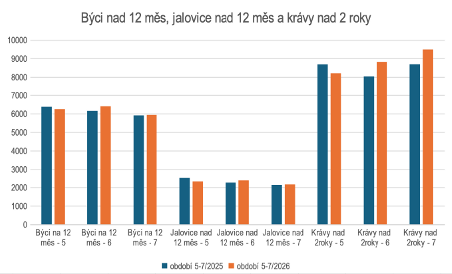 Počet poražených krav starších dvou let byl v květnu až červenci 2026 vyšší než ve stejném období loni. Nejvýraznější meziroční nárůst přišel v červenci, kdy se počet porážek zvýšil o 9,2 procenta.