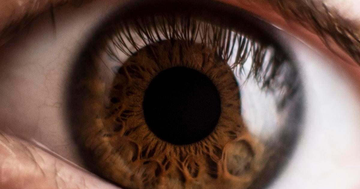 Červené oko po dovolené nemusí být z chloru. Možná máte nebezpečného parazita