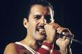Freddie Mercury