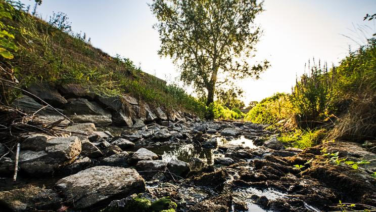 ČR-voda-počasí-sucho-Jihomoravský-FASTPIX, Jihomoravský kraj