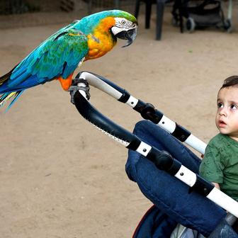 Palestinians visit and interact with animals at a zoo in Nuseirat