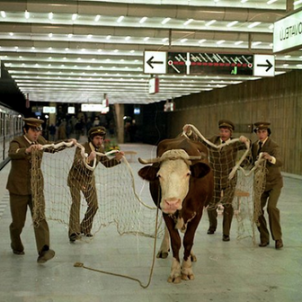 Kaňka do pohádky, 1981