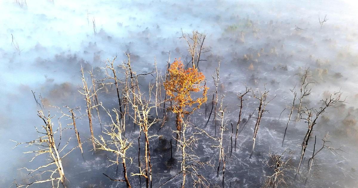 Požár na jihozápadě Francie se dál šíří, stovky lidí se musely evakuovat
