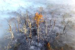 A drone view shows smoke and fog above burnt forest affected by a wildfire near Soumos in France